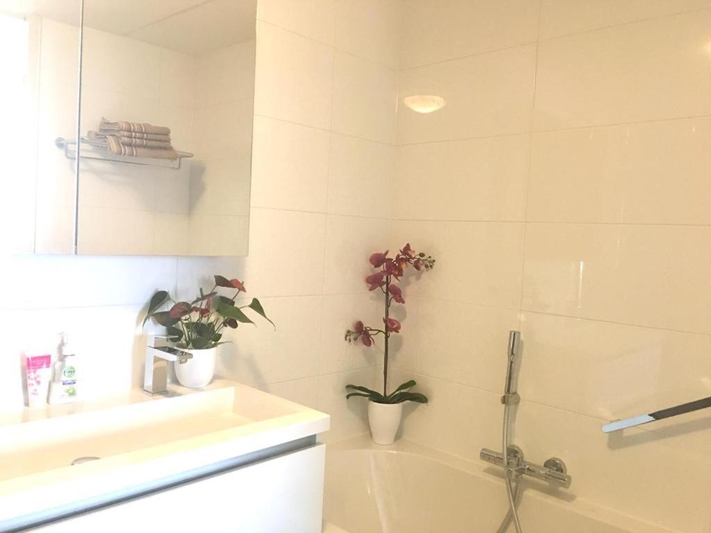 Home Inn Zandvoort The First Floor, 4 Persons, 2 Bedrooms, Free Parking Exteriér fotografie